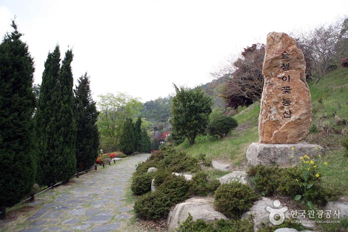 꽃동산화원 이미지