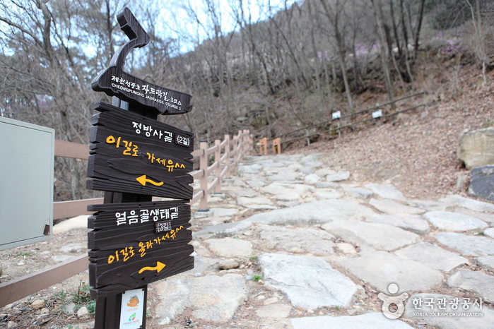 청풍호반과 정겹게 어우러진 산촌을 둘러보는 청풍호자드락길