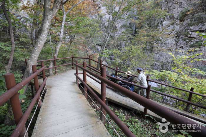 주왕산 학소교에서 용추폭포 가는 데크 길