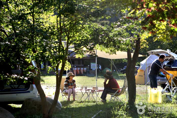 단풍나무 아래 가을 햇살을 즐기는 캠퍼들