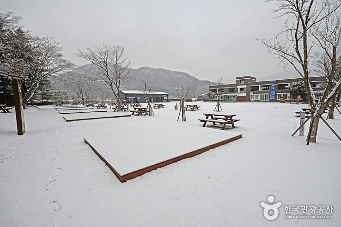 별난독서캠핑장