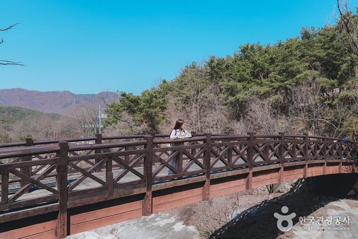 북한산국립공원 입구 근처 나무 다리