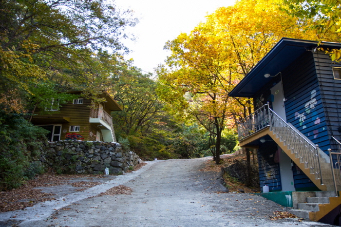 간월산자연휴양림 이미지