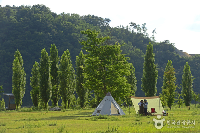해외 네티즌 반응 - 가생이닷컴 한 템포 느리게 즐기는 여유로운 하룻밤, 여주 강천섬 백패킹 > 가생이닷컴