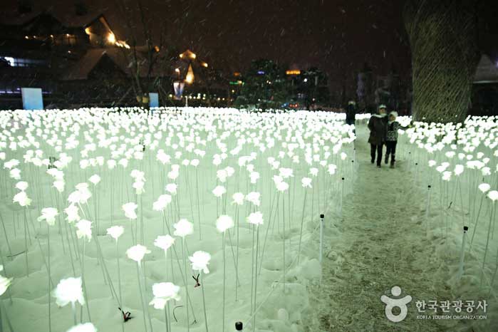 가족, 친구, 연인과 함께 산책을 즐기고 기념촬영도 한다