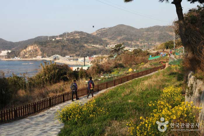 유채꽃이 만발한 거문도역사공원으로 향하는 길