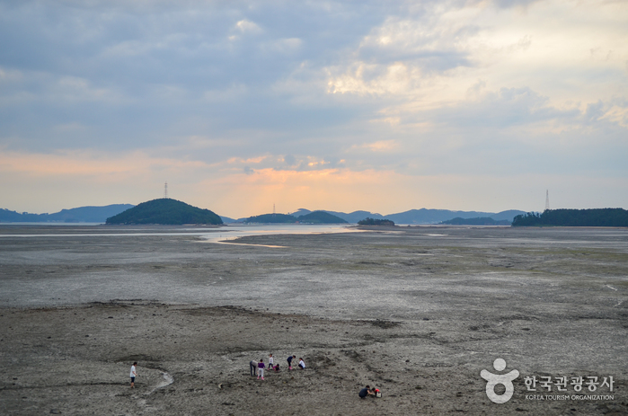대로리에서 바라본 웅도