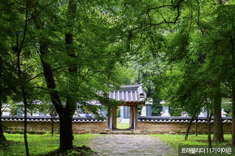 선운산 도립공원 & 선운사