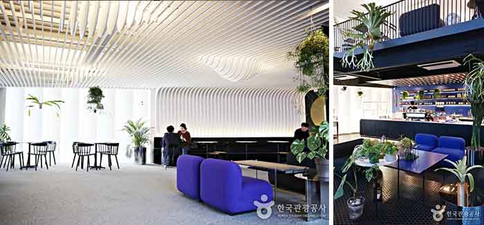 감각적인 플랜테리어가 돋보이는 카페