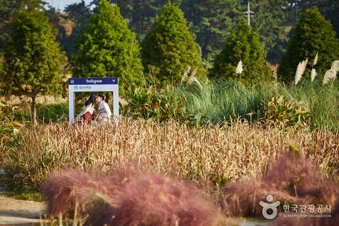 청산수목원 연원에 자리한 포토존에서 사진을 찍는 연인