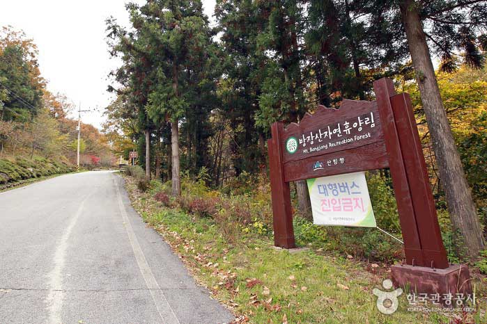 방장산자연휴양림 유아숲체험원 이미지