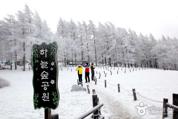 차에서 내리면 만나는 하늘숲공원 입구