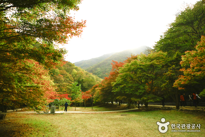 시산교차로 이미지