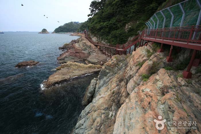 억 년 세월의 퇴적암 위로 만들어진 송도해안산책로