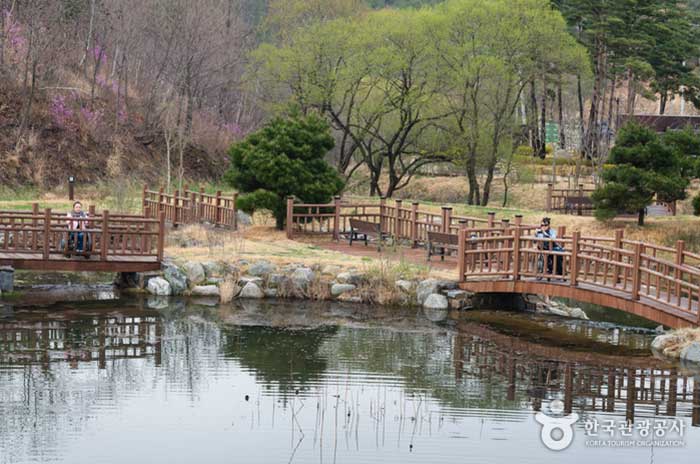 풍력발전단지에 있는 산림생태문화체험공원