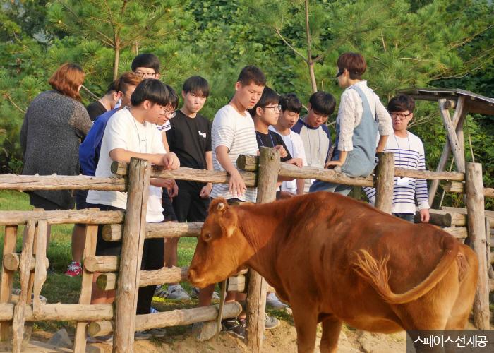 엄수정 대표가 ‘촌스러운 하루’에 참여한 학생들을 인솔하고 있다. <사진제공 : 스페이스 선 >