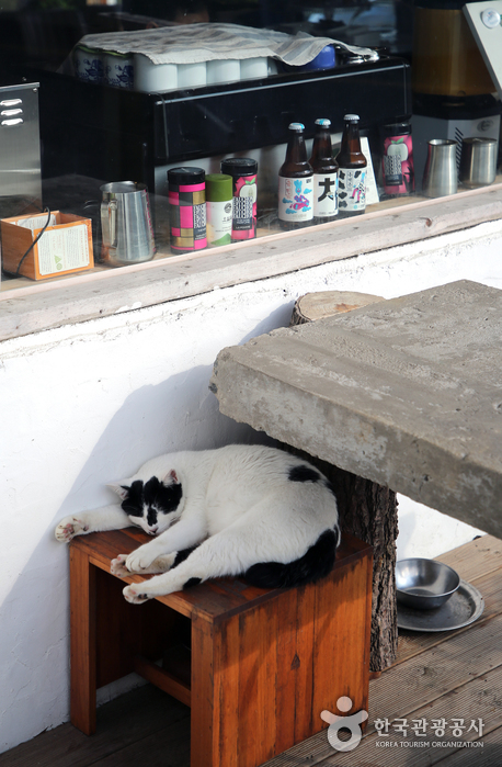 카페 앞에 고양이 급식상자가 놓여 있다.