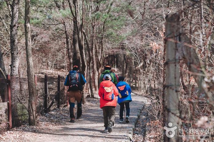 산길이 시작됐다.