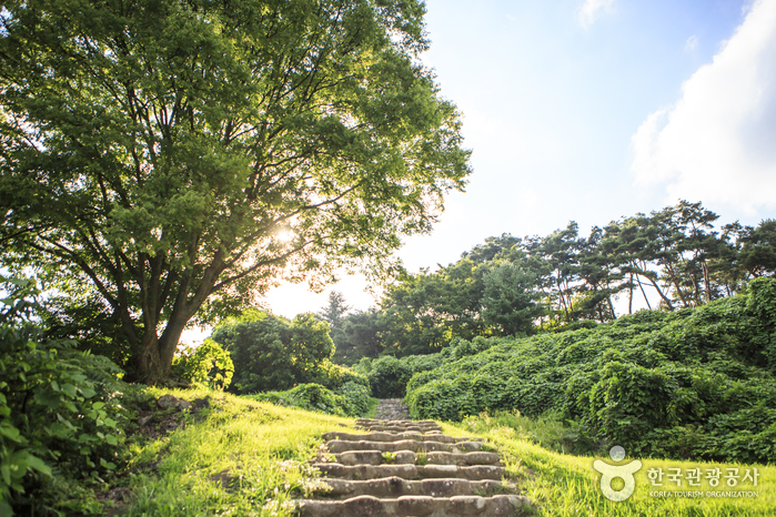 상행선 휴게소에서 단양 적성 가는 길