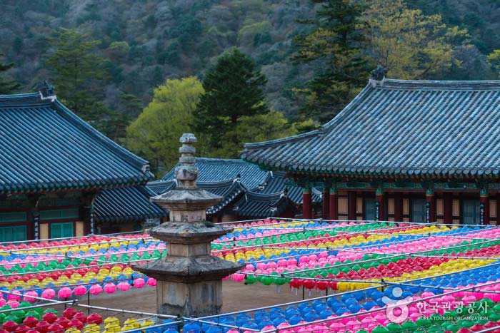 해인사 대웅전 앞에서 바라본 경내