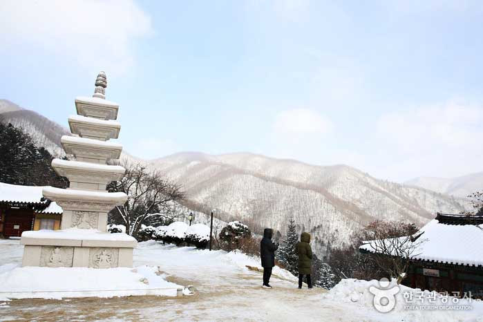 상원사 경내에서는 설산까지 내다보여 전망이 예술이다