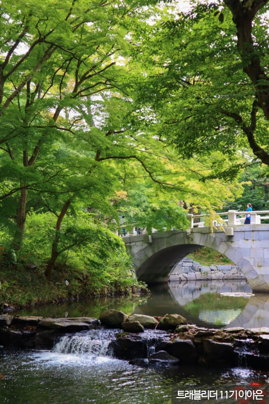선운산 도립공원 & 선운사