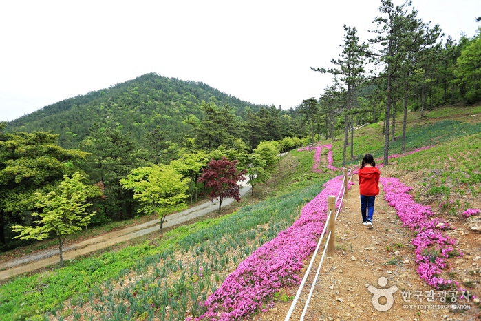 산자락에 꽃길이 펼쳐진 덕암산꽃누리생태공원