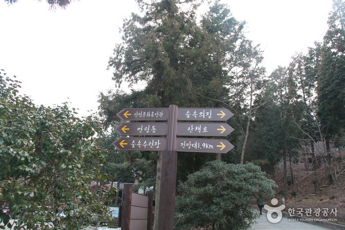 남해편백자연휴양림 이미지