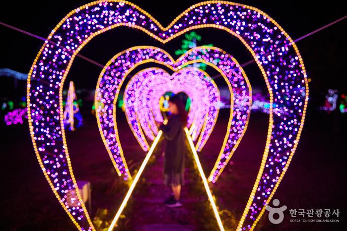 철로를 따라 조명이 들어오는 러브 트레인