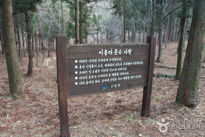 남해편백자연휴양림 이미지