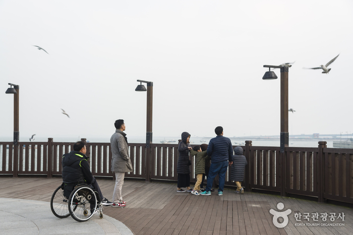 삽교호 바다공원 해상산책로(덱)