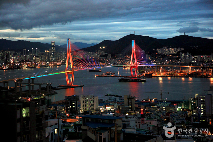 청학배수지 전망대에서 본 부산 야경