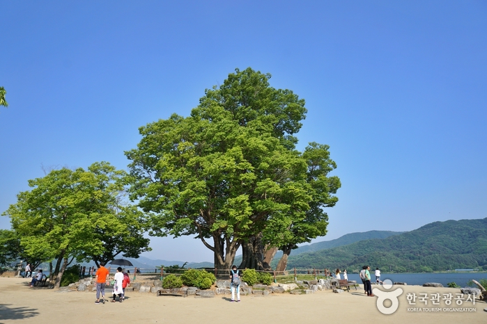 두물머리 이미지