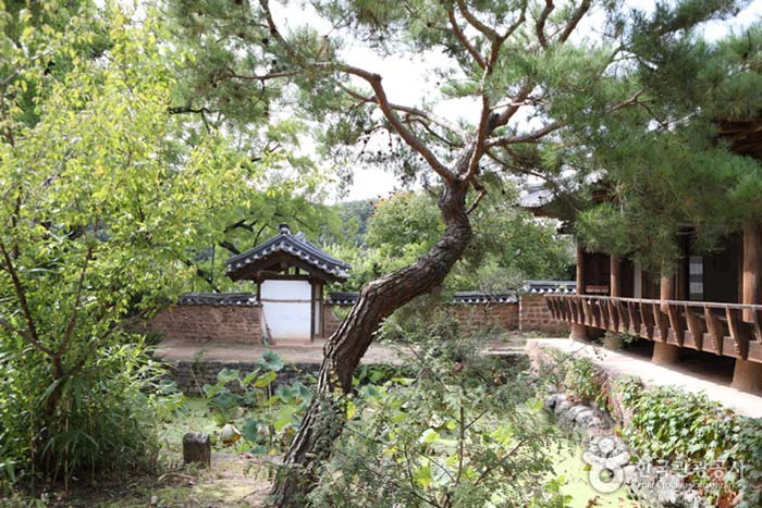 주일재 이미지