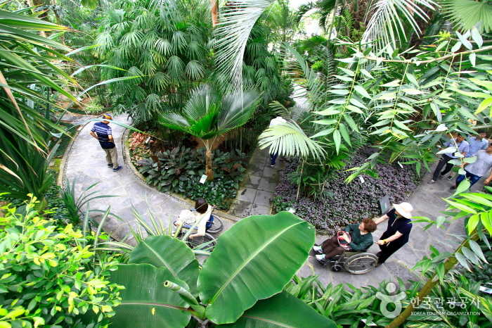 열대식물원이지만 덥지 않다.
