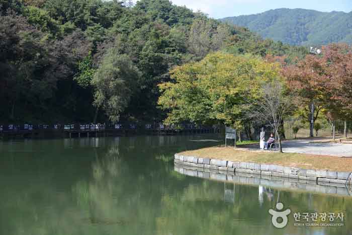 무지개다리에서 본 의림지