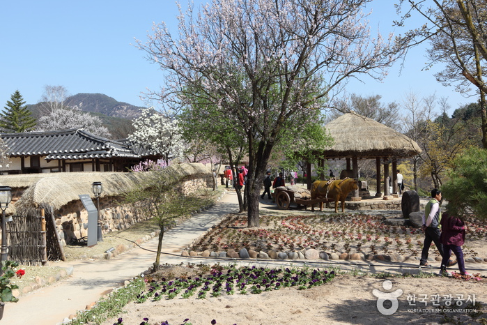 충주댐 건설로 수몰되기 전, 마을 사람들이 살던 집과 문화재를 볼 수 있는 청풍문화재단지
