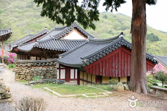 선암사 전경
