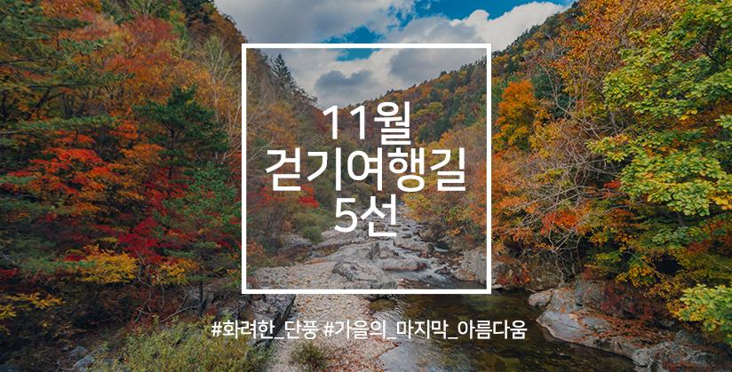 11월 걷기여행길 5선