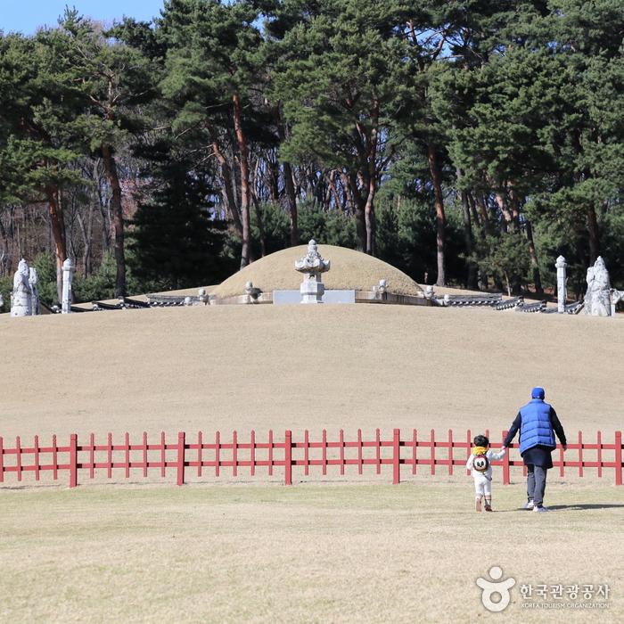 21대 추존 장조의황제와 현경의황후의 능