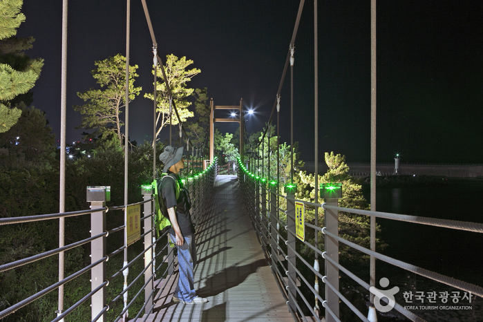 출렁다리 위에서 밤바다를 바라보는 여행객