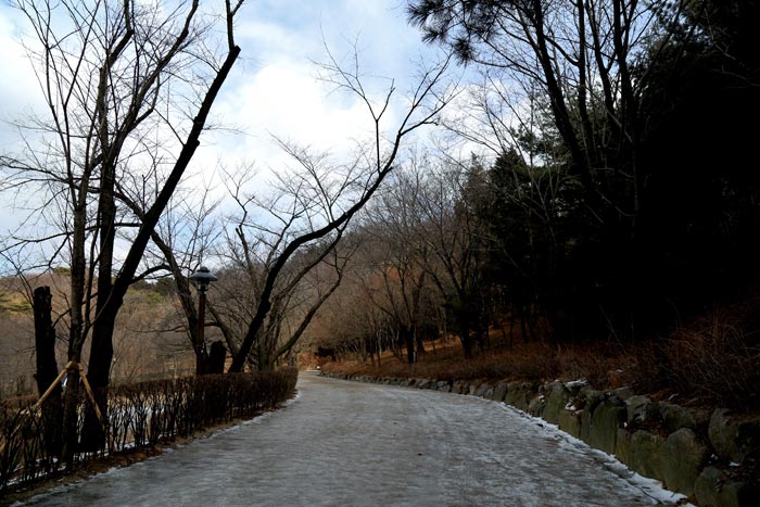 안산자락길에서 봄을 기다리는 겨울나무