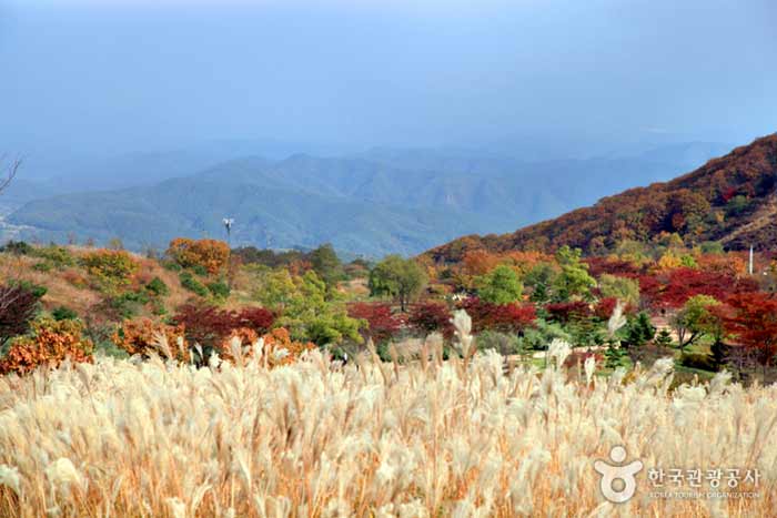 억새평원 아래로 황매산오토캠핑장이 자리 잡고 있다