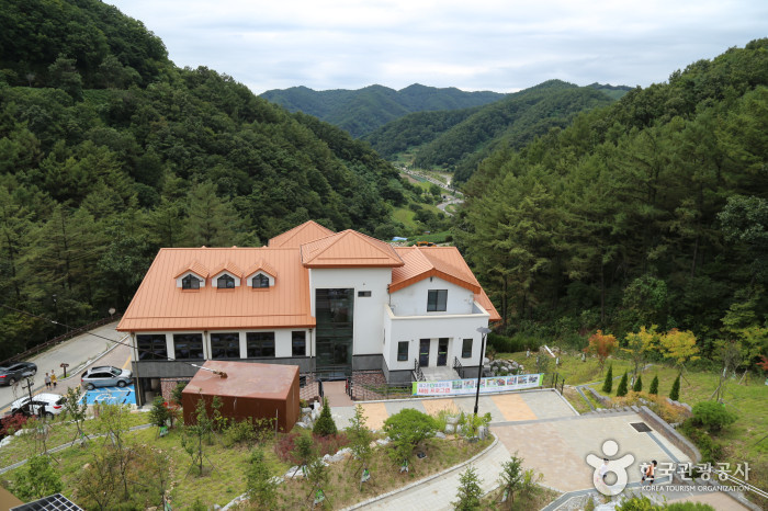 좌구산휴양림 전경