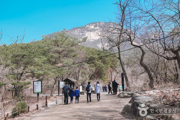 많은 등산객들이 길을 즐기고 있다.