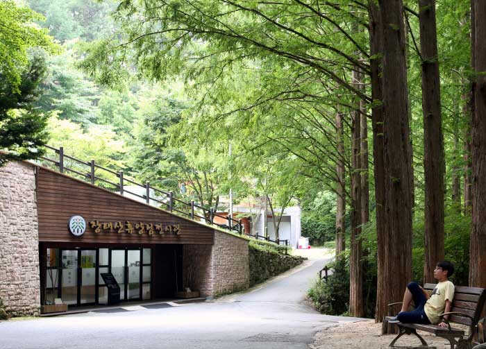 장태산자연휴양림 이미지
