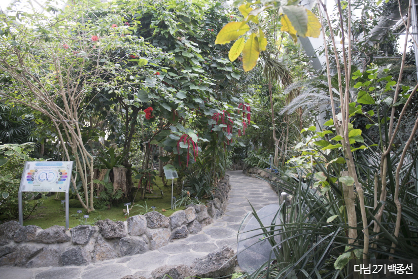 열대식물자원연구센터