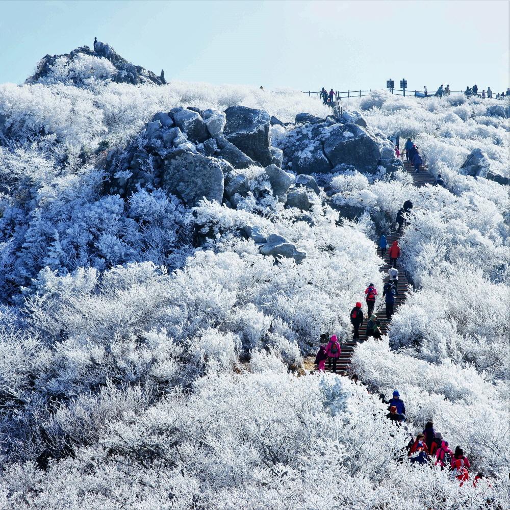 눈꽃 핀 덕유산 향적봉(무주군청제공)