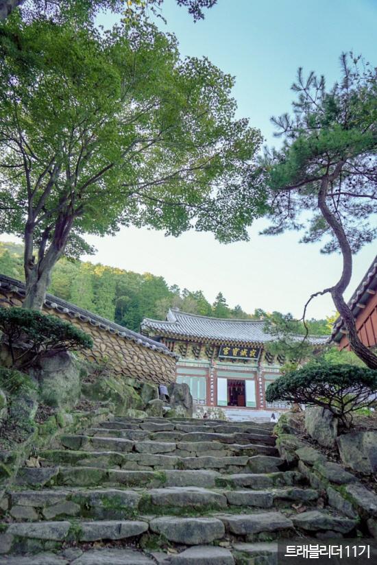 다솔사