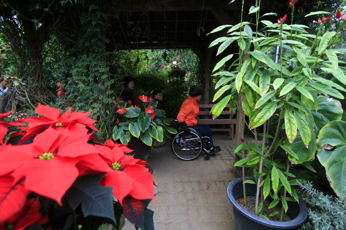 허브식물박물관은 동반인 없이 휠체어로 돌아볼 수 있다